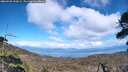 ./images/calvert/fitz-hugh-hecate/20260530/fitz-hugh-hecate20260530_154501M.jpg