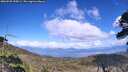 ./images/calvert/fitz-hugh-hecate/20260530/fitz-hugh-hecate20260530_155001M.jpg