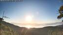./images/calvert/fitz-hugh-hecate/20260531/fitz-hugh-hecate20260531_063501M.jpg