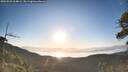 ./images/calvert/fitz-hugh-hecate/20260531/fitz-hugh-hecate20260531_064001M.jpg