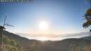 ./images/calvert/fitz-hugh-hecate/20260531/fitz-hugh-hecate20260531_064501M.jpg