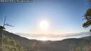 ./images/calvert/fitz-hugh-hecate/20260531/fitz-hugh-hecate20260531_065001M.jpg