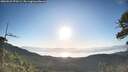 ./images/calvert/fitz-hugh-hecate/20260531/fitz-hugh-hecate20260531_070501M.jpg