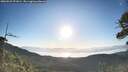 ./images/calvert/fitz-hugh-hecate/20260531/fitz-hugh-hecate20260531_071001M.jpg