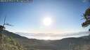 ./images/calvert/fitz-hugh-hecate/20260531/fitz-hugh-hecate20260531_071501M.jpg