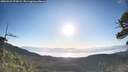 ./images/calvert/fitz-hugh-hecate/20260531/fitz-hugh-hecate20260531_072001M.jpg