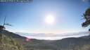./images/calvert/fitz-hugh-hecate/20260531/fitz-hugh-hecate20260531_073002M.jpg