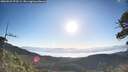 ./images/calvert/fitz-hugh-hecate/20260531/fitz-hugh-hecate20260531_073501M.jpg