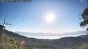 ./images/calvert/fitz-hugh-hecate/20260531/fitz-hugh-hecate20260531_074001M.jpg