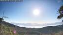 ./images/calvert/fitz-hugh-hecate/20260531/fitz-hugh-hecate20260531_074501M.jpg