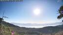 ./images/calvert/fitz-hugh-hecate/20260531/fitz-hugh-hecate20260531_075001M.jpg