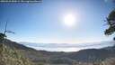 ./images/calvert/fitz-hugh-hecate/20260531/fitz-hugh-hecate20260531_080002M.jpg