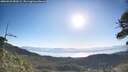 ./images/calvert/fitz-hugh-hecate/20260531/fitz-hugh-hecate20260531_080501M.jpg