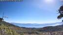 ./images/calvert/fitz-hugh-hecate/20260531/fitz-hugh-hecate20260531_101502M.jpg
