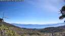 ./images/calvert/fitz-hugh-hecate/20260531/fitz-hugh-hecate20260531_105002M.jpg