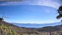 ./images/calvert/fitz-hugh-hecate/20260531/fitz-hugh-hecate20260531_110501M.jpg