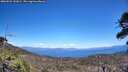 ./images/calvert/fitz-hugh-hecate/20260531/fitz-hugh-hecate20260531_141002M.jpg