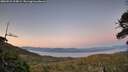 ./images/calvert/fitz-hugh-hecate/20260531/fitz-hugh-hecate20260531_215002M.jpg