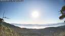 ./images/calvert/fitz-hugh-hecate/20260601/fitz-hugh-hecate20260601_072501M.jpg