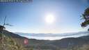 ./images/calvert/fitz-hugh-hecate/20260601/fitz-hugh-hecate20260601_073501M.jpg