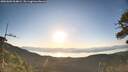 ./images/calvert/fitz-hugh-hecate/20260602/fitz-hugh-hecate20260602_064001M.jpg