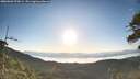 ./images/calvert/fitz-hugh-hecate/20260602/fitz-hugh-hecate20260602_070001M.jpg