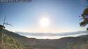 ./images/calvert/fitz-hugh-hecate/20260602/fitz-hugh-hecate20260602_070502M.jpg
