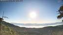 ./images/calvert/fitz-hugh-hecate/20260602/fitz-hugh-hecate20260602_071501M.jpg