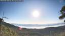 ./images/calvert/fitz-hugh-hecate/20260602/fitz-hugh-hecate20260602_073002M.jpg