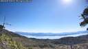 ./images/calvert/fitz-hugh-hecate/20260602/fitz-hugh-hecate20260602_100501M.jpg