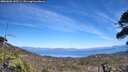 ./images/calvert/fitz-hugh-hecate/20260602/fitz-hugh-hecate20260602_145501M.jpg