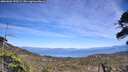 ./images/calvert/fitz-hugh-hecate/20260602/fitz-hugh-hecate20260602_153501M.jpg