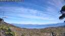 ./images/calvert/fitz-hugh-hecate/20260602/fitz-hugh-hecate20260602_160501M.jpg