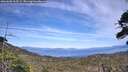 ./images/calvert/fitz-hugh-hecate/20260602/fitz-hugh-hecate20260602_163501M.jpg