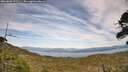 ./images/calvert/fitz-hugh-hecate/20260602/fitz-hugh-hecate20260602_172501M.jpg