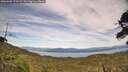 ./images/calvert/fitz-hugh-hecate/20260602/fitz-hugh-hecate20260602_173502M.jpg
