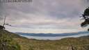 ./images/calvert/fitz-hugh-hecate/20260602/fitz-hugh-hecate20260602_192001M.jpg