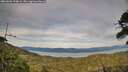 ./images/calvert/fitz-hugh-hecate/20260602/fitz-hugh-hecate20260602_194001M.jpg