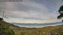 ./images/calvert/fitz-hugh-hecate/20260602/fitz-hugh-hecate20260602_202502M.jpg