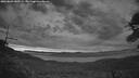 ./images/calvert/fitz-hugh-hecate/20260603/fitz-hugh-hecate20260603_043501M.jpg