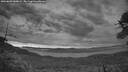 ./images/calvert/fitz-hugh-hecate/20260603/fitz-hugh-hecate20260603_044002M.jpg