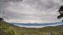 ./images/calvert/fitz-hugh-hecate/20260603/fitz-hugh-hecate20260603_100502M.jpg