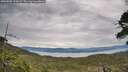 ./images/calvert/fitz-hugh-hecate/20260603/fitz-hugh-hecate20260603_101002M.jpg