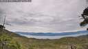 ./images/calvert/fitz-hugh-hecate/20260603/fitz-hugh-hecate20260603_105001M.jpg