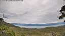 ./images/calvert/fitz-hugh-hecate/20260603/fitz-hugh-hecate20260603_110001M.jpg