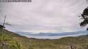 ./images/calvert/fitz-hugh-hecate/20260603/fitz-hugh-hecate20260603_114501M.jpg