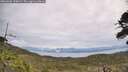 ./images/calvert/fitz-hugh-hecate/20260603/fitz-hugh-hecate20260603_120002M.jpg