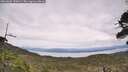 ./images/calvert/fitz-hugh-hecate/20260603/fitz-hugh-hecate20260603_130001M.jpg