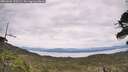 ./images/calvert/fitz-hugh-hecate/20260603/fitz-hugh-hecate20260603_132501M.jpg