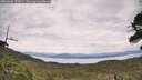 ./images/calvert/fitz-hugh-hecate/20260603/fitz-hugh-hecate20260603_133001M.jpg